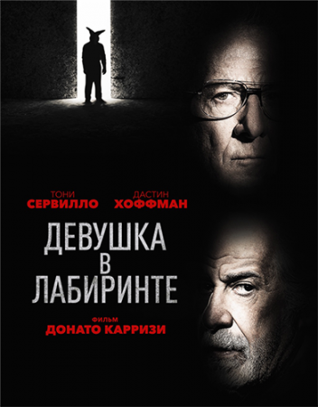 Девушка в лабиринте (2019)