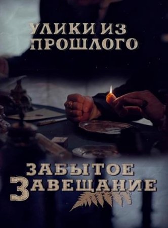 Улики из прошлого. Забытое завещание (3 сезон: 1-4 серии из 4) (2021)