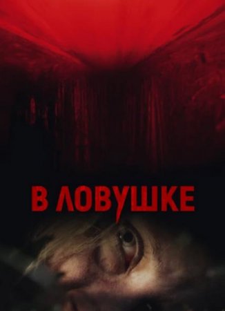 В ловушке (2020)