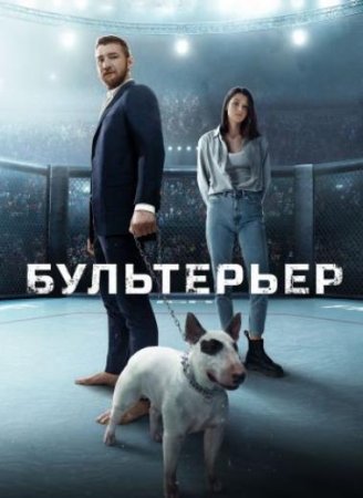 Бультерьер (2022)