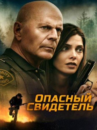 Опасный свидетель (2022)