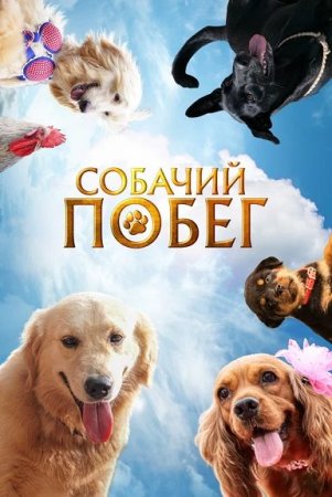 Собачий побег (2023)